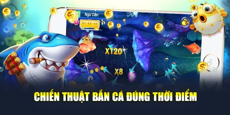 Chiến thuật bắn cá đúng thời điểm
